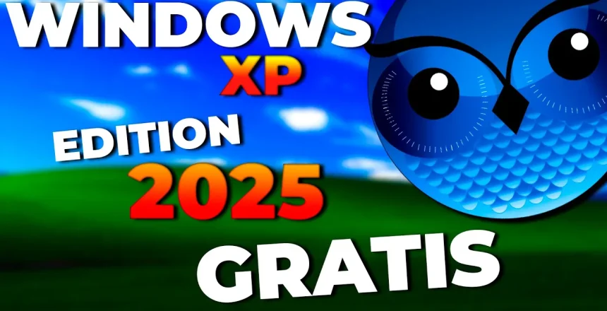 maxresdefault (11)